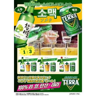 ビール 韓国 TERRA テラ ビール 缶 350ml 24本 眞露 JINRO 送料無料｜tokyo-syusui｜03