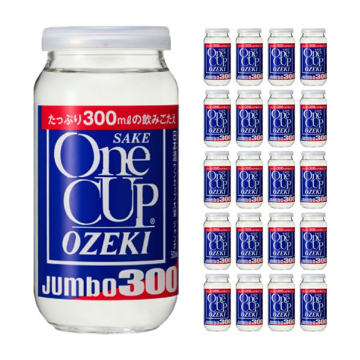 注目 送料無料 大関 ワンカップジャンボ 300ml 本 1ケース 取り寄せ品 Materialworldblog Com