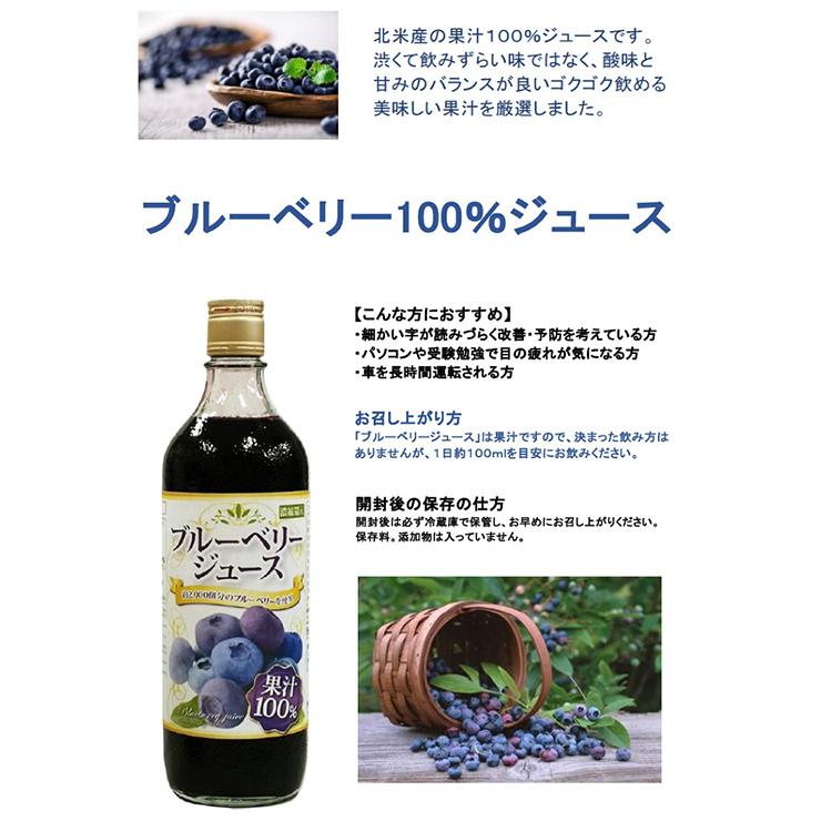 野田ハニー ブルーベリー100％ジュース 720ml 12本 送料無料 取り寄せ品｜tokyo-syusui｜02