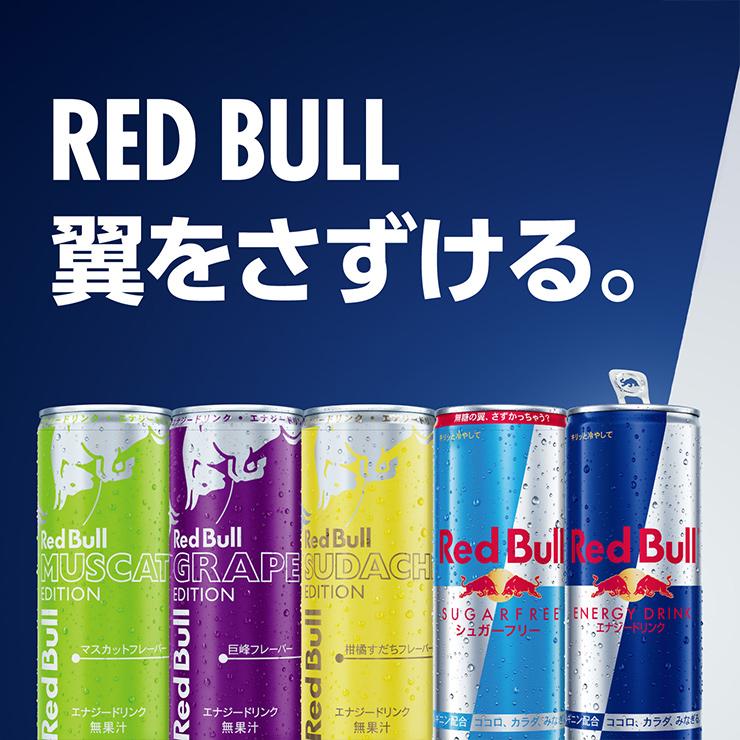 レッドブル（RedBull） エナジードリンク すだちエディション 250ml 24