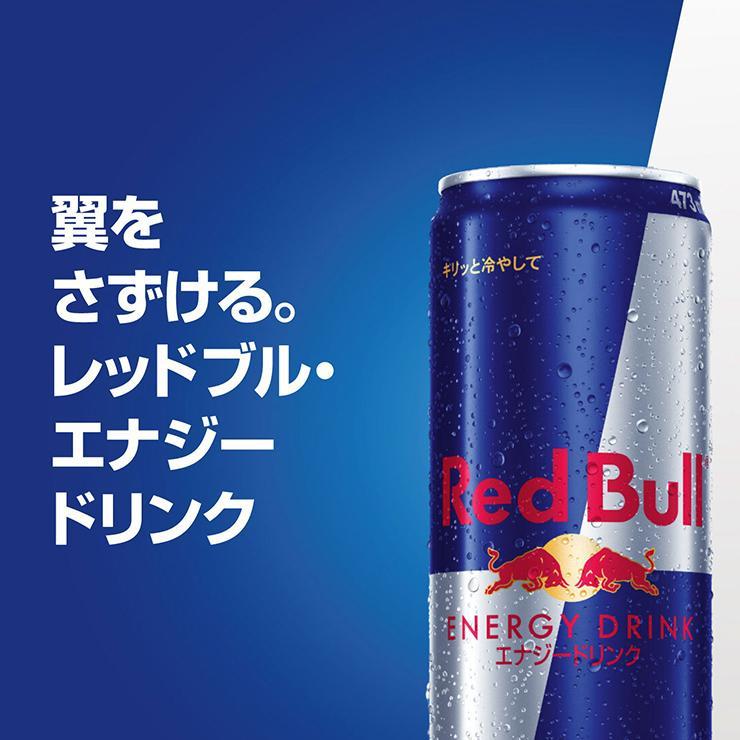 レッドブル（RedBull） 選べるセット 2種セット (エナジードリンク
