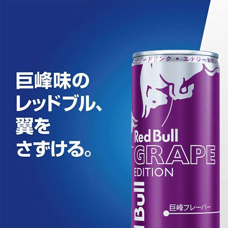 レッドブル（RedBull） 選べるセット 2種セット (エナジードリンク