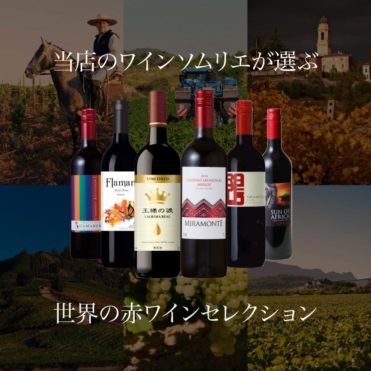 送料無料 ソムリエが選ぶ 世界の赤ワイン セット 750ml 6本 チリ フランス イタリア スペイン 南アフリカ 東京酒粋 Paypayモール店 通販 Paypayモール