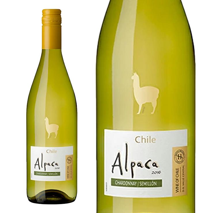 ワイン 白 毎日飲める デイリー 辛口 白ワインセット 750ml 6本 飲み