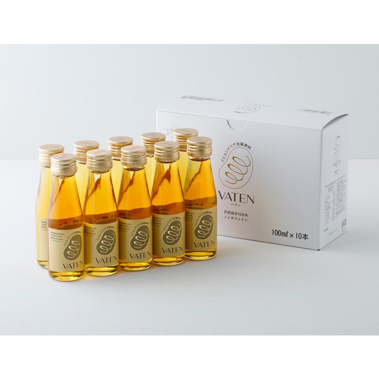 無添加VATEN ノンカフェイン 100ml×10本入り x2箱 福光屋 エナジー ドリンク VATEN バテン 100ml 10本 栄養