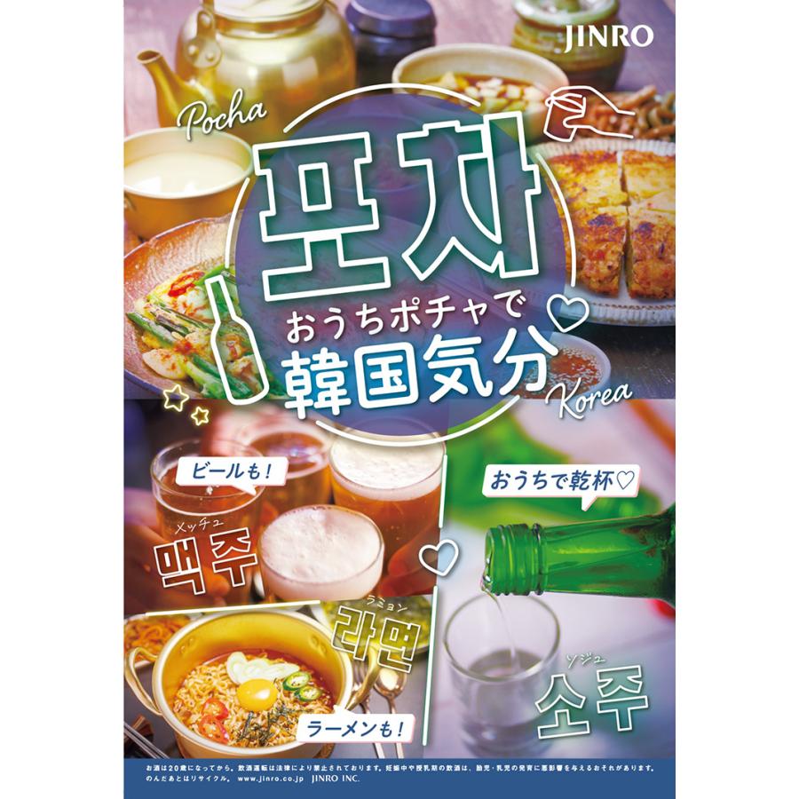 ビール 韓国 TERRA テラ ビール 缶 350ml 48本 眞露 JINRO 送料無料｜tokyo-syusui｜06