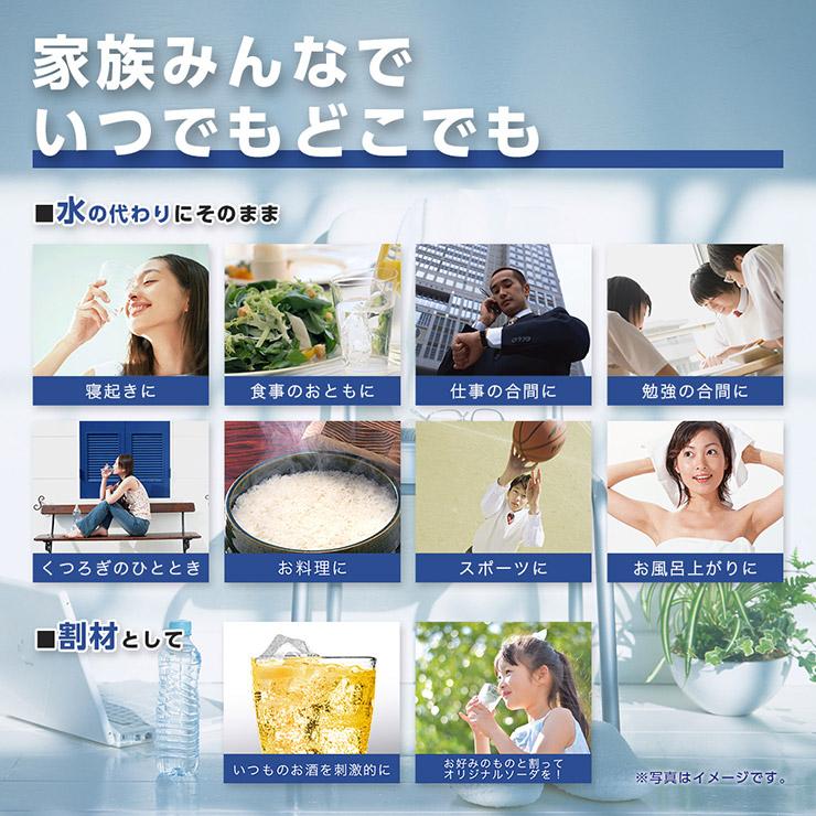 炭酸水 サンガリア 伊賀の天然水 強炭酸水 ラベルレス ペットボトル 450ml 48本 24本入 2ケース セット 強炭酸 水 割材 送料無料 | 伊賀の天然水炭酸水 | 07