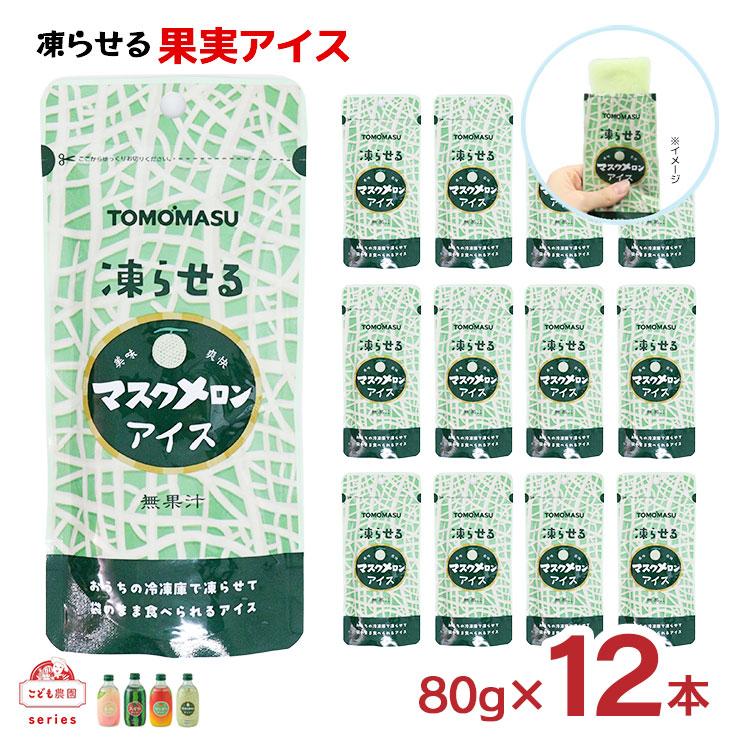 友桝飲料 フルーツ シャーベット 凍らせる 果実アイス マスクメロン