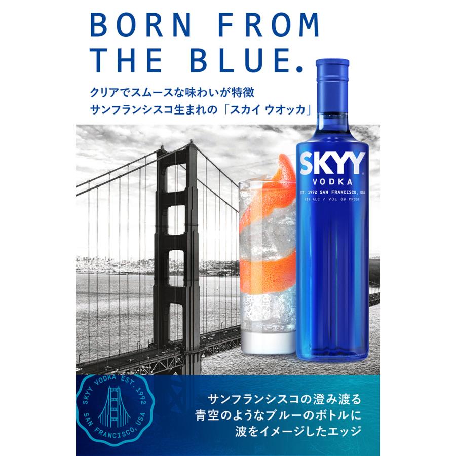 ウォッカ スカイ ウオッカ イタリア 750ml 6本 CTスピリッツ 送料無料