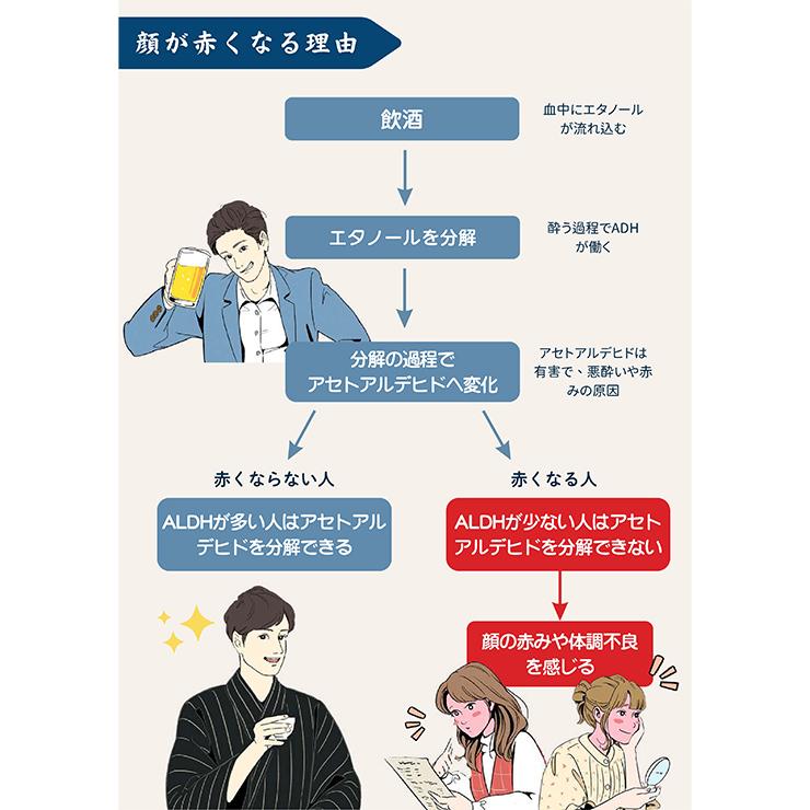 お酒で赤くなる前に 飲むサプリ 赤ん TO GO 2.4g 20袋 1箱 サプリメント 令和製薬 |  | 02