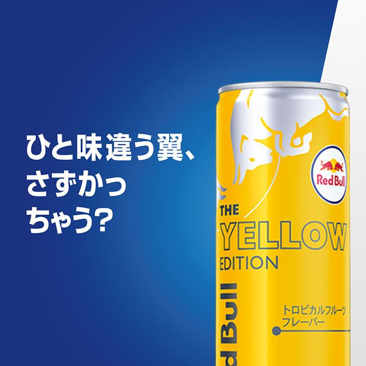レッドブル 選べる セット 2ケース エナジードリンク 250ml 48本 レッドブル 選べる セット 2ケース エナジードリンク 250ml 48本