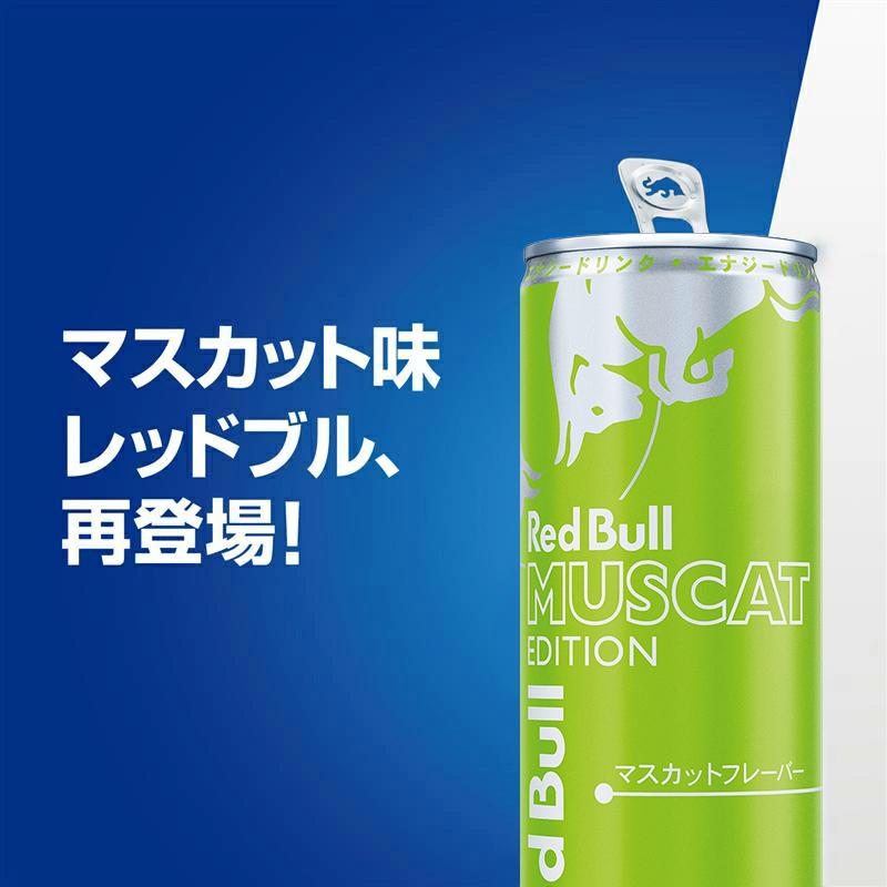 選べる セット 2ケース レッドブル エナジードリンク 250ml 48本 2