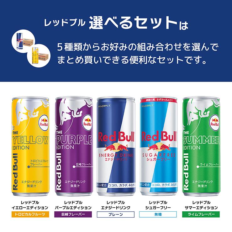 レッドブル 選べる セット 2ケース エナジードリンク 250ml 48本 レッドブル 選べる セット 2ケース エナジードリンク 250ml 48本