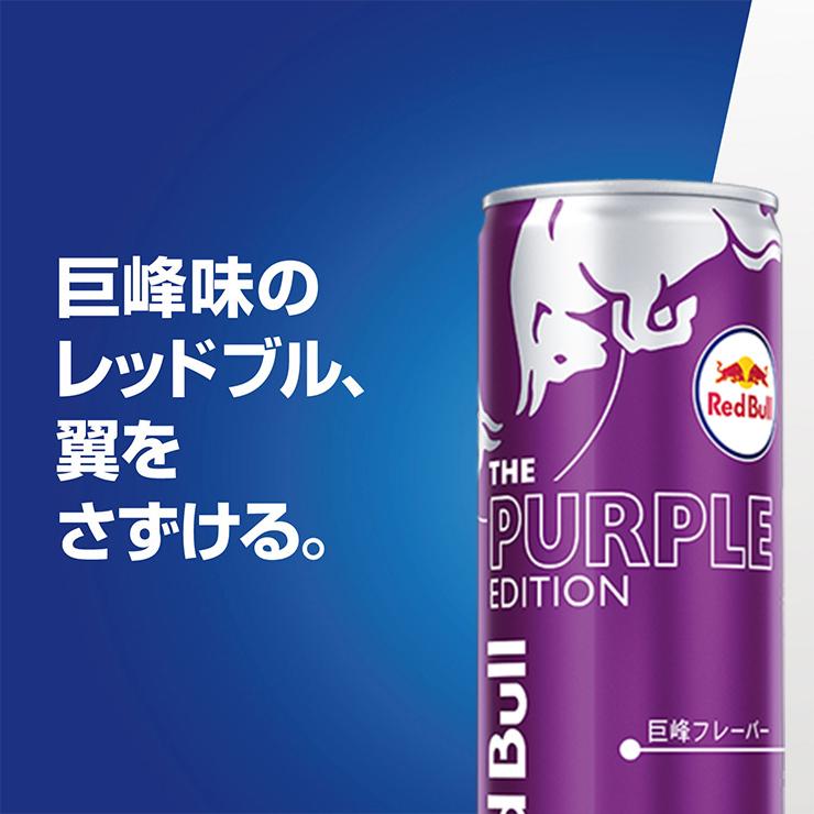 レッドブル 選べる セット 2ケース エナジードリンク 250ml 48本 レッドブル 選べる セット 2ケース エナジードリンク 250ml 48本