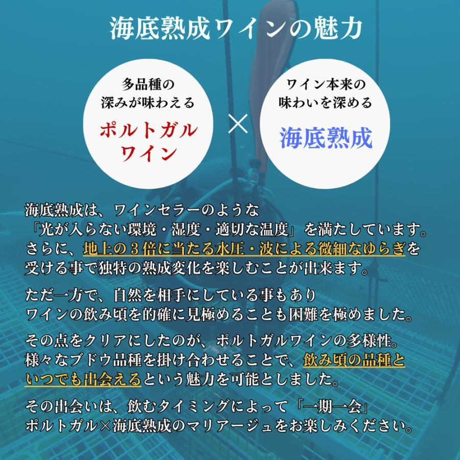 海底熟成ワイン　ヴィンクロエテルノ 2020_8