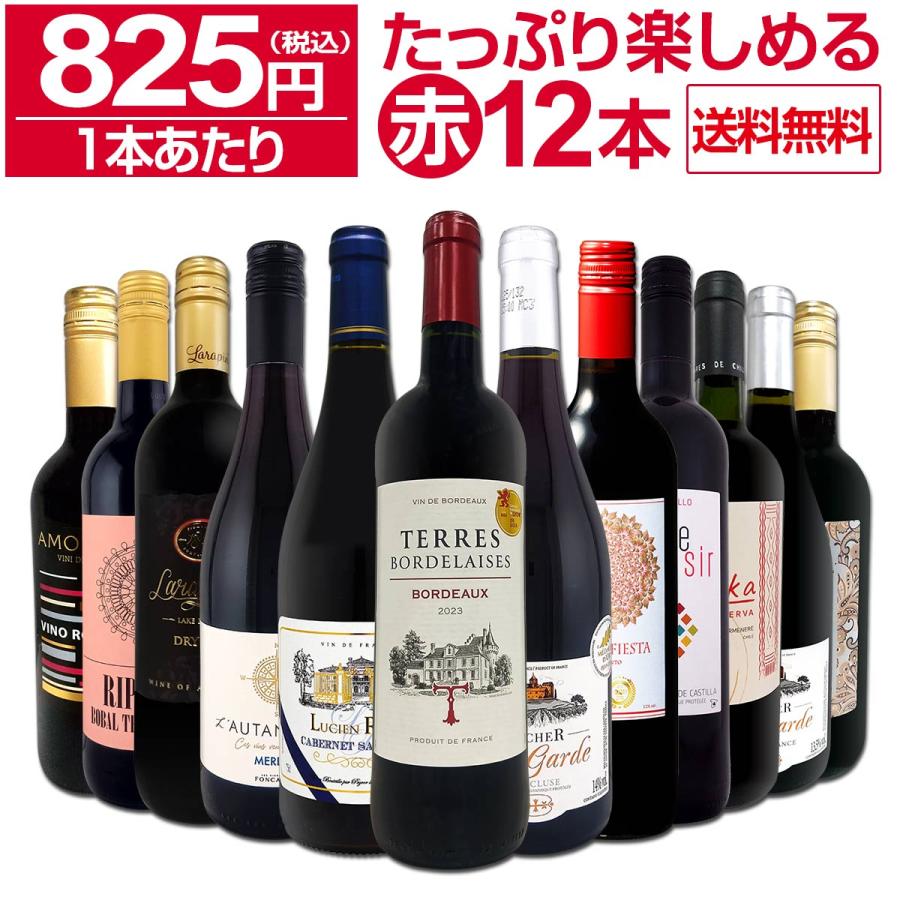 赤ワイン セット フランス スペイン イタリア 12本 750ml wine set 第