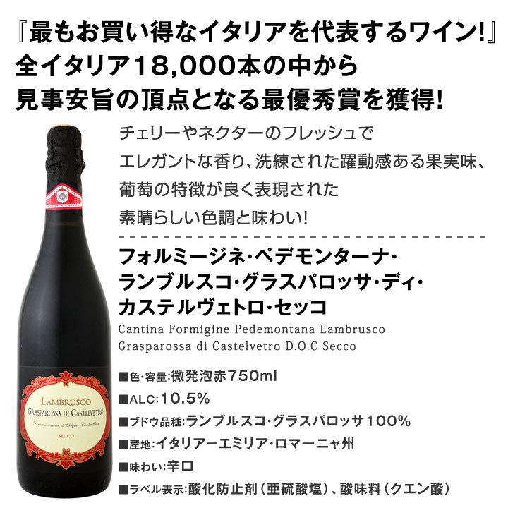 赤ワイン セット イタリア 2本 wine set 750ml 微発泡 ランブルスコ