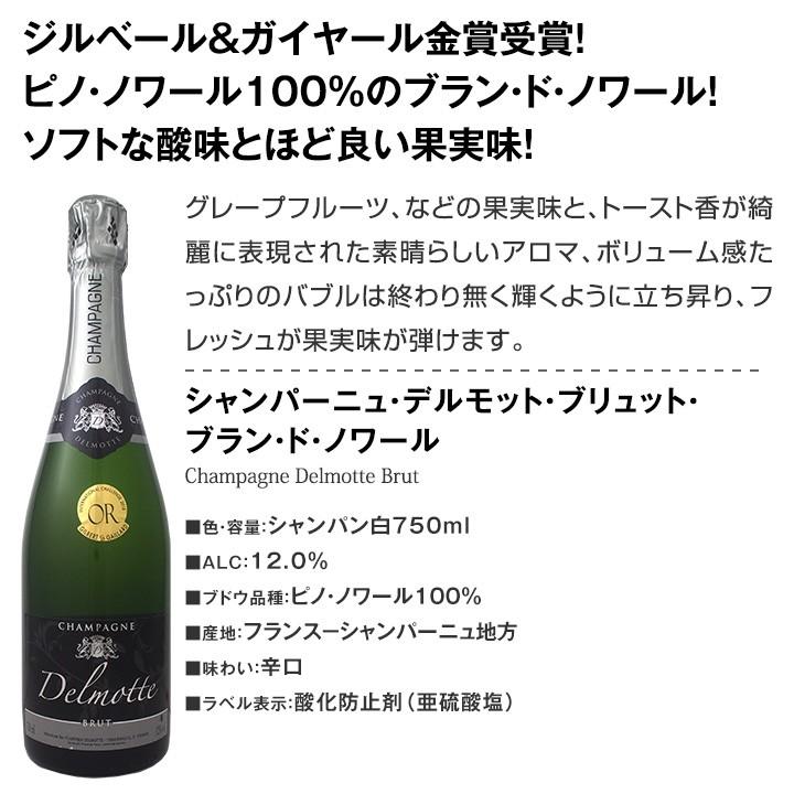シャンパン2本セット Champagne 第27弾 スパークリングワインセット Sparkling Wine Set Set434 東京ワインガーデン 通販 Yahoo ショッピング