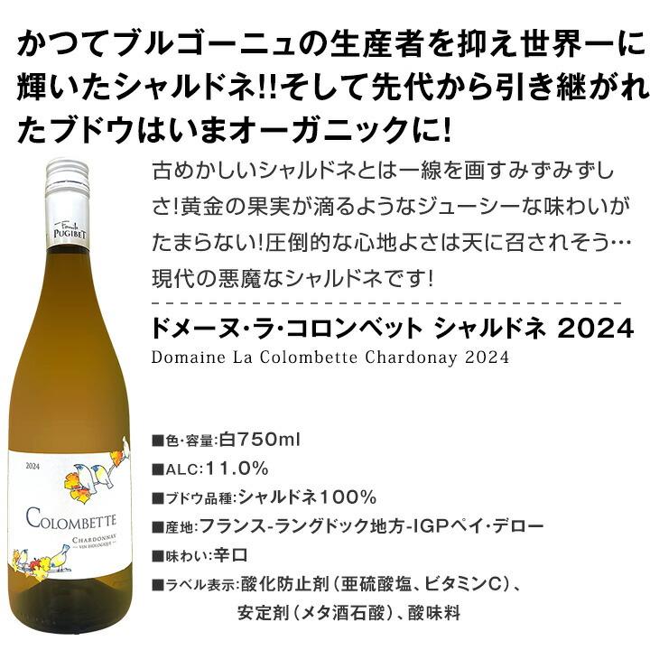 第230弾！当店厳選！極旨白ワイン！『白ワインを存分に楽しむ