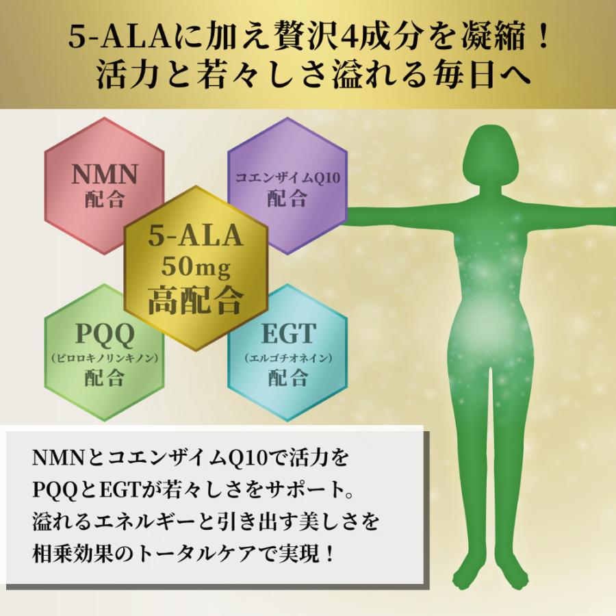 5-ALA＋NMN＋CoQ10サプリメント 60粒入り 5個セット 1粒に5-ALA50mg配合 日本製 NMN コエンザイムQ10 5ala ファイブアラ GMP認定製造 二酸化チタン不使用 |  | 03