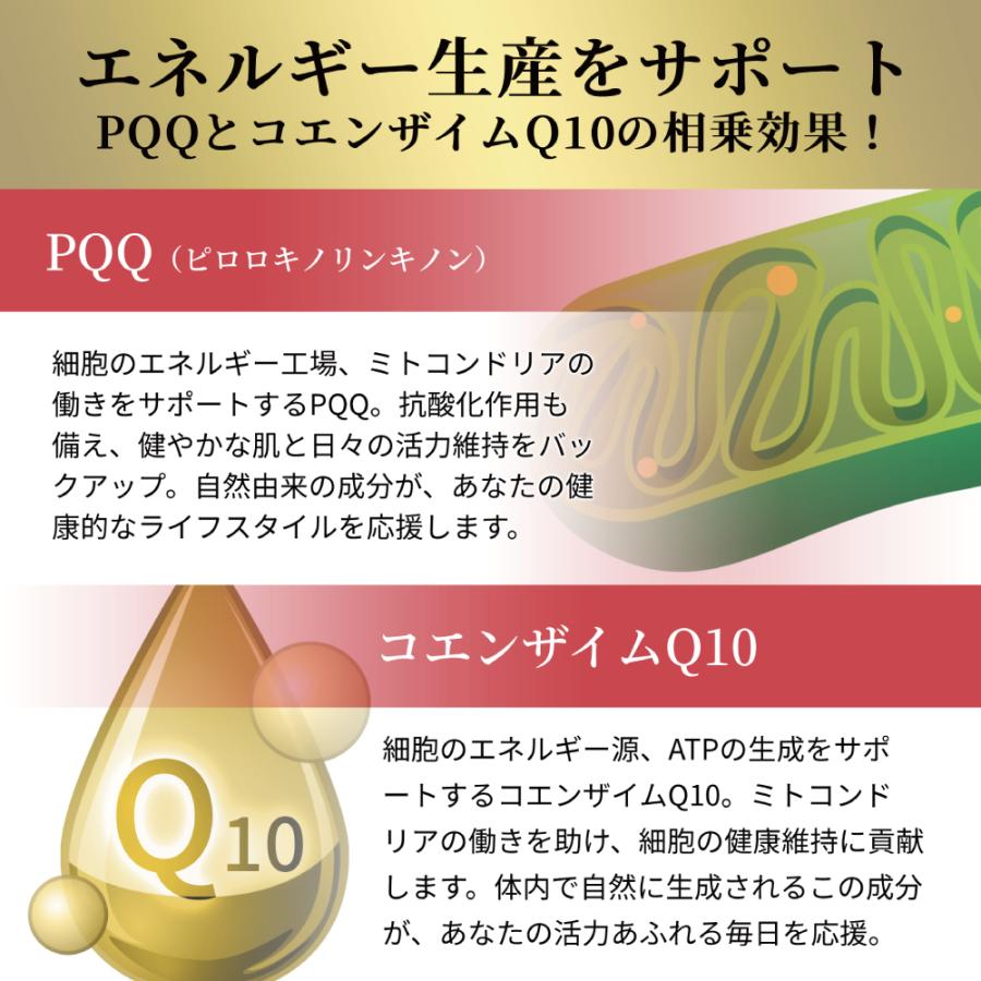 NMN 30000+PQQ+プラセンタ サプリメント 90粒入り 5個セット 1粒にNMN333mg配合 日本製 コエンザイムQ10 GMP認定 二酸化チタン不使用 国産 エイジングケア |  | 04