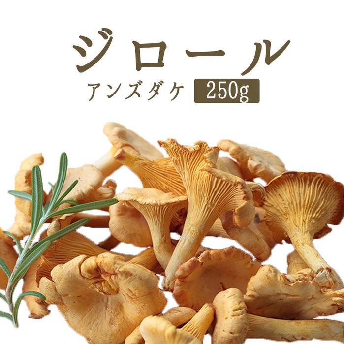ジロール ジロール茸 （アンズダケ アンズ茸）フレッシュ girolles