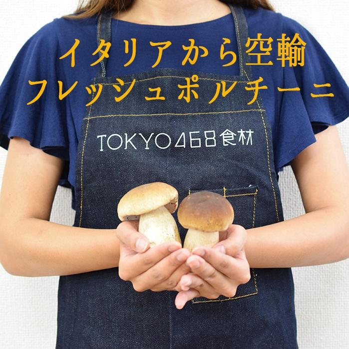 10/2（金）より出荷》【季節限定】フレッシュ ポルチーニ ＜イタリア産