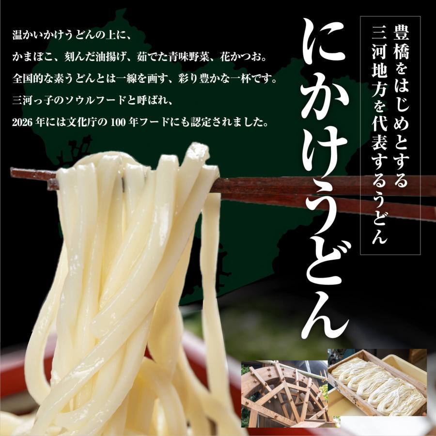 うどん 三河伝統にかけうどん 白つゆ 白醤油 4人前 かけつゆ 揚げ玉付き 冷凍 お取り寄せ お土産 ギフト お中元 麺 饂飩 スープ 贈り物 国産 東京庵 爆買 | 東京庵 | 02