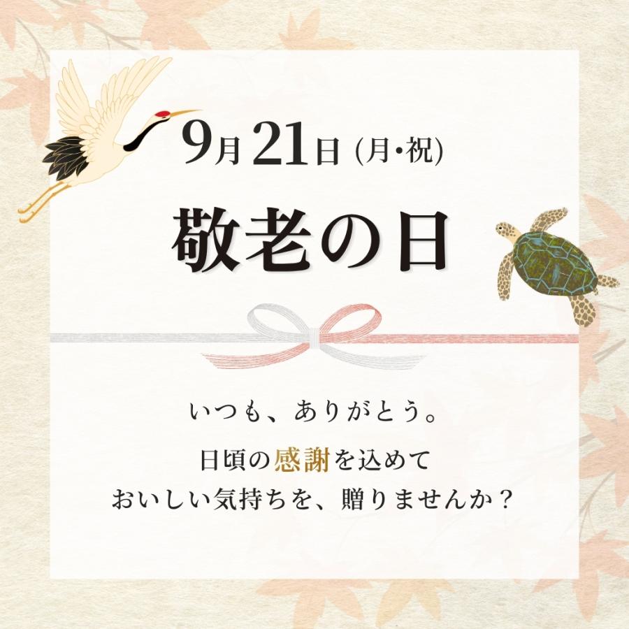 うどん 三河伝統にかけうどん 白つゆ 白醤油 4人前 かけつゆ 揚げ玉付き 冷凍 お取り寄せ お土産 ギフト お中元 麺 饂飩 スープ 贈り物 国産 東京庵 爆買 | 東京庵 | 01