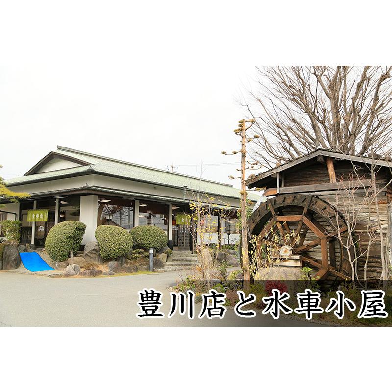 うどん 三河伝統にかけうどん 白つゆ 白醤油 7人前 かけつゆ 揚げ玉付き 冷凍 お取り寄せ お土産 ギフト お中元 麺 饂飩 スープ 贈り物 国産 東京庵 | 東京庵 | 08
