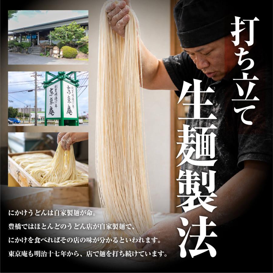 うどん 三河伝統にかけうどん 白つゆ 白醤油 8人前 かけつゆ 揚げ玉付き 冷凍 お取り寄せ お土産 ギフト お中元 麺 饂飩 スープ 贈り物 国産 東京庵 | 東京庵 | 03