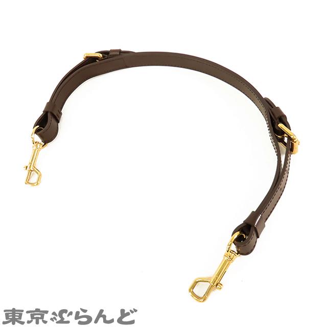 LOUIS VUITTON ルイヴィトン トレヴィ PM N51997 エベヌ ダミエ