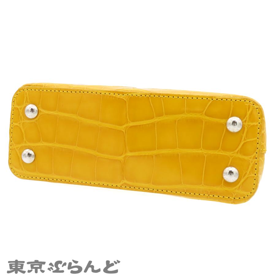 LOUIS VUITTON（ルイ・ヴィトン） カプシーヌ ミニ N93164 イエロー