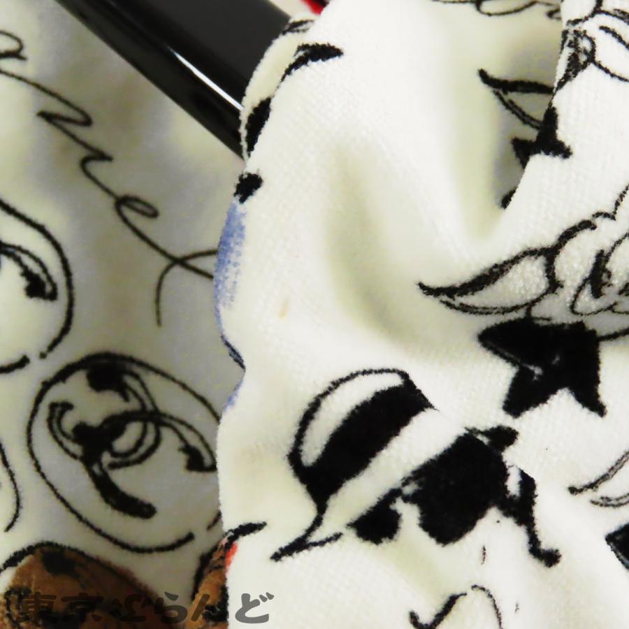 CHANEL（シャネル） カメリア プラスチックハンドルバッグ ホワイトx