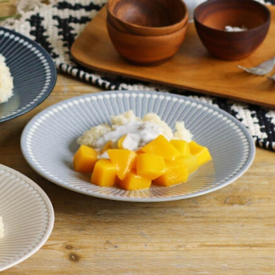 みのる陶器 albee 食器 アルビー 皿 22cm 大皿 中皿 3色セット パスタ