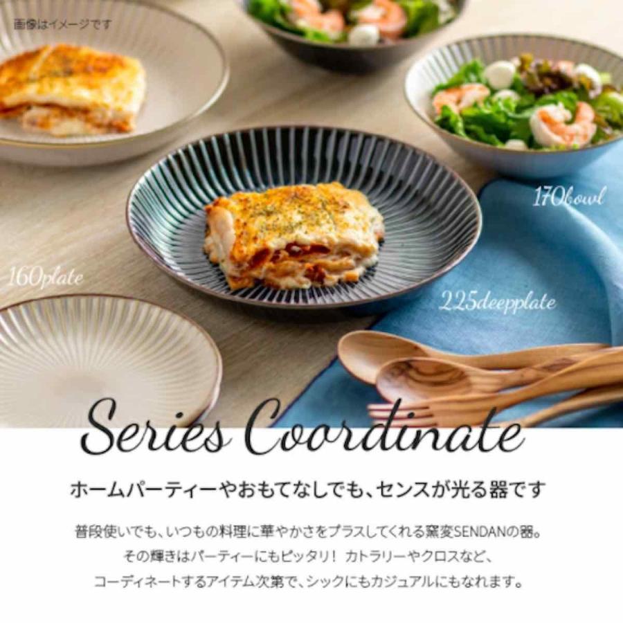   皿 2枚セット NSX 622 直径22センチ みのる陶器 窯変SENDAN センダン 深皿 22.5cm 大皿 中皿 おしゃれ