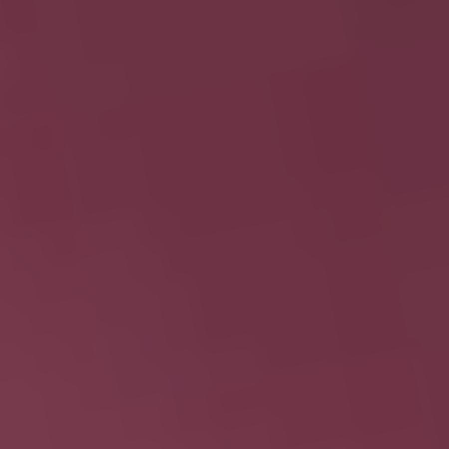 ラッピング包装＋リボン | ブランド登録なし | 02