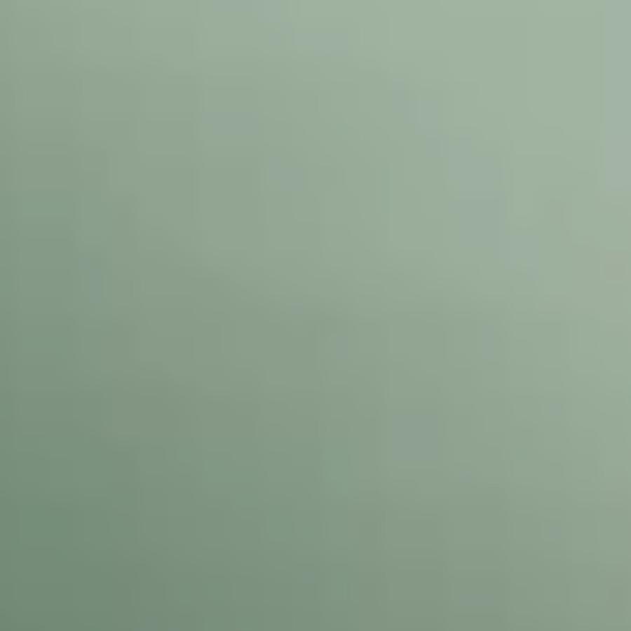 ラッピング包装＋リボン | ブランド登録なし | 05