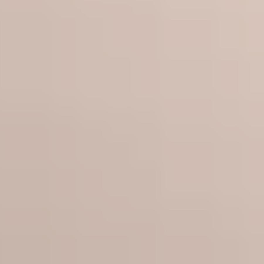 ラッピング包装＋リボン | ブランド登録なし | 08