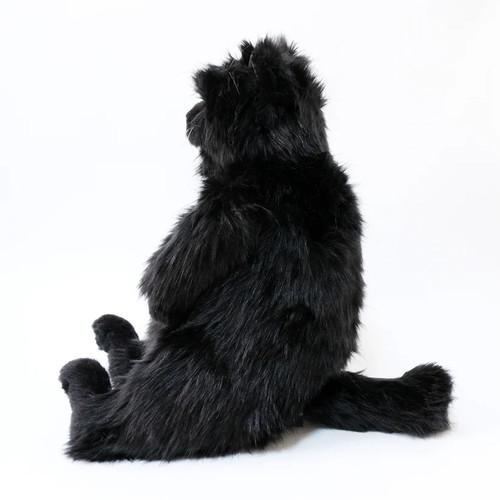 【送料・包装無料】Cuddly 茶々丸2 黒 ソメゴローとゆかいな仲間たち 猫ぬいぐるみ 005 | Cuddly（ぬいぐるみ） | 01