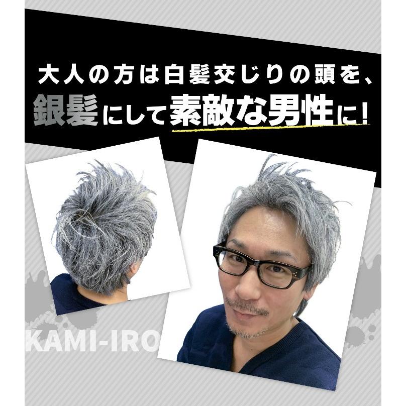 新品本物 メンズヘアケア 塗るだけでセットしながら簡単にイメージチェンジ カミイロ Kami Iro カラーワックス 2本組 ヘアワックス ヘアカラー シルバー グレー メッシュ 白髪 銀髪 送料無料 Pilotezone Com