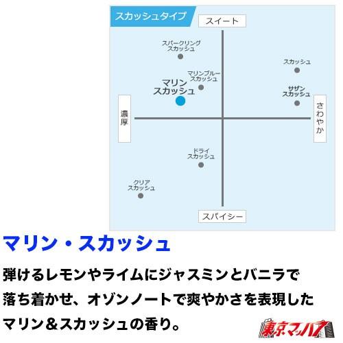 栄光社 車用 消臭 芳香剤 バニラ 芳香消臭剤 スカッシュ系 エア