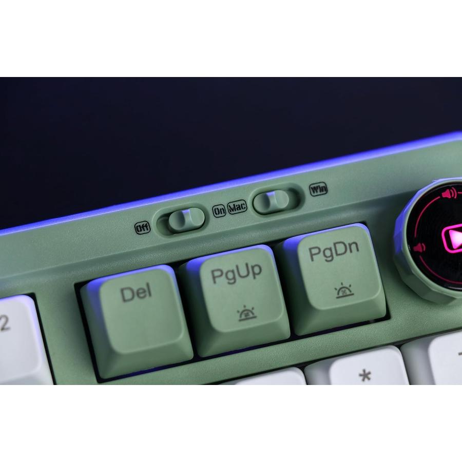 EPOMAKER RT100 97 Keys Gasket BT5.0/2.4G/USB-C Mechanical Keyboard with Customizable Display Screen  Knob  Hot Swappable Socket  5000mAh Battery fo｜tokyootamart｜04