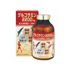 ヒロソフイー hirosophy グルコサミン 2200＋MSM 480粒 : 東京ストア