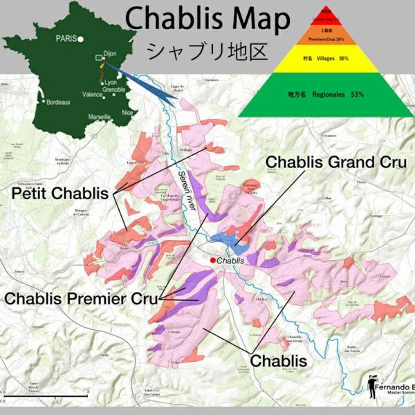 シャブリ グランクリュ レ・クロ 2020  ビヨー シモン CHABLIS GRAND CRU Les Clos Domaine BILLAUD-SIMON 750ml 特級畑  ビヨー＝シモン 白ワイン 辛口｜tokyowineec｜06