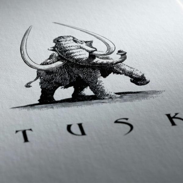 タスク ナパ ヴァレー カベルネ ソーヴィニョン 2019 Tusk Napa Valley Cabernet Sauvignon 750ml 赤ワイン 爆買_2