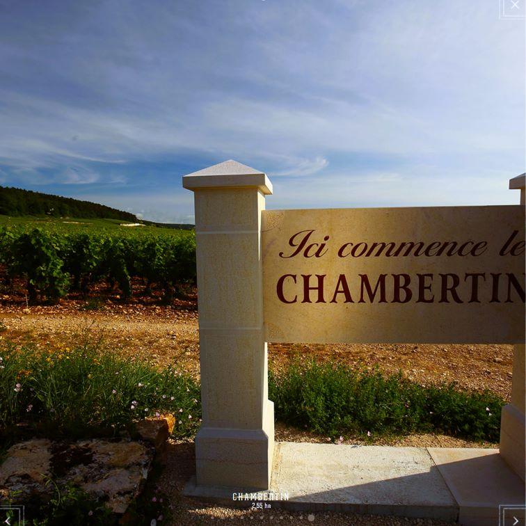 クロ ド ラ ロッシュ 2016 アルマン ルソー Clos de la Roche