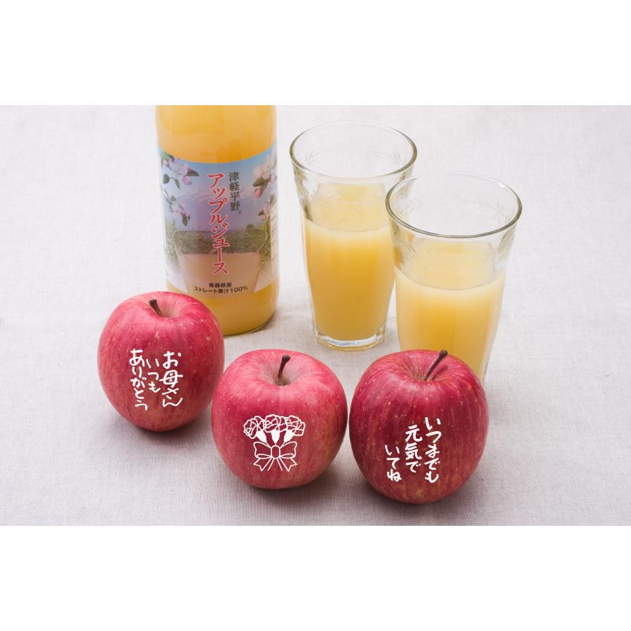 配送料込 H036 あじさい パリジェンヌ セット Fewo Am Eck De