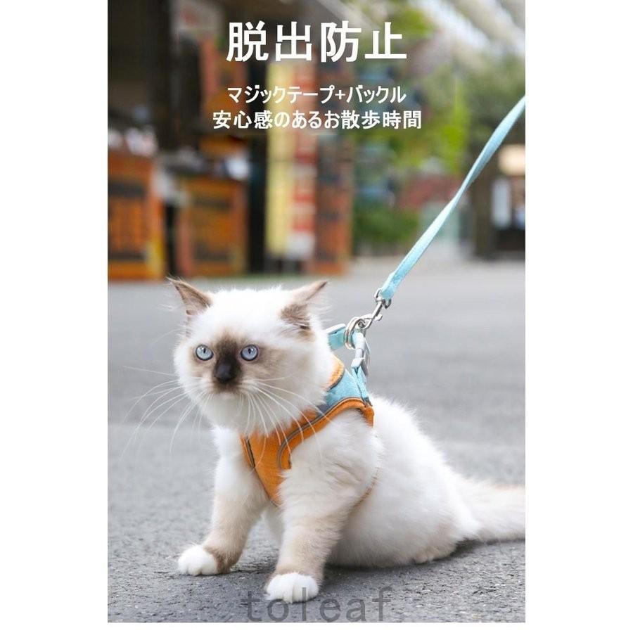 国内正規品 首輪 ハーネス 迷子札 ハーネス リード 猫 牽引縄 ペット リードハーネス セット ハーネス リード 猫 牽引縄 ペット リードハーネス セット シンプル 簡単装着 猫用ハーネス おしゃれ ハーネスリード ネコ 牽引ロープ