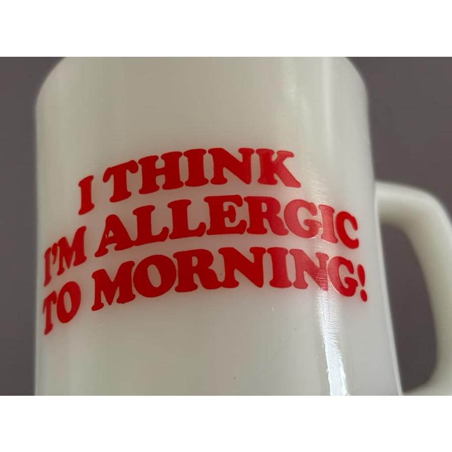 ファイヤーキング fire-king スヌーピー モーニングアレルギー : Tom